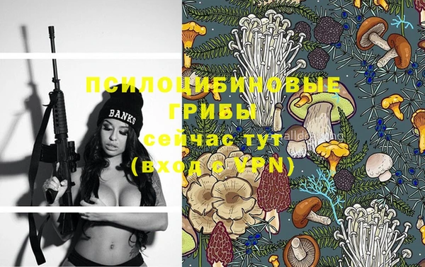 крисы Белокуриха