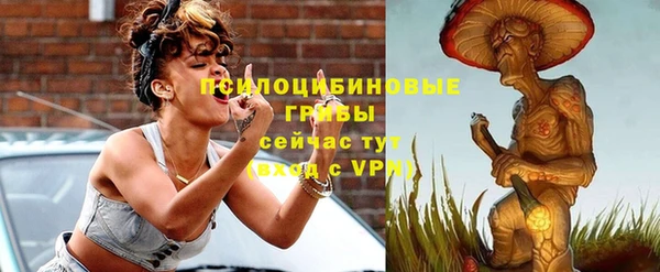 крисы Белокуриха