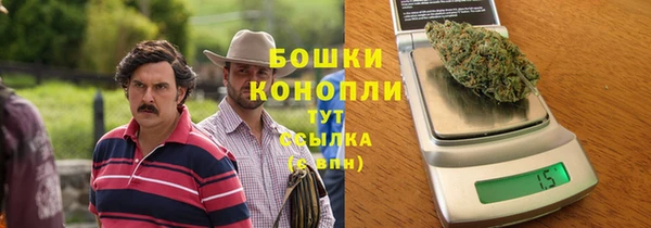 крисы Белокуриха
