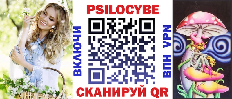 OMG рабочий сайт  Чекалин  Псилоцибиновые грибы Psilocybe 